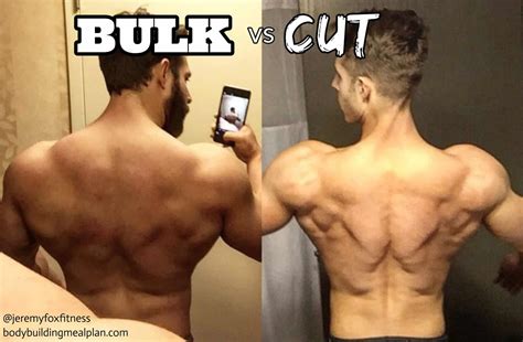 body recomposition vs bulking and cutting|More.